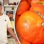 Ako rýchlo olúpať tekvicu: šéfkuchár sa podelil o osvedčené metódy