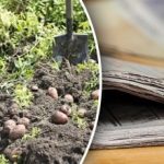 Je čas urobiť si zásoby: Ako využiť staré noviny v