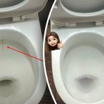 Jeden výrobok vybieli vašu záchodovú misu do žiarivého lesku: ako si poradiť so zubným povlakom a nečistotami za 15 minút Jeden výrobok vybieli vašu záchodovú misu do žiarivého lesku: ako