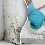 Plesne navždy zmiznú: jeden prírodný liek dokáže zázraky bez chemikálií