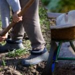 Výsevný kalendár na september 2025: čo robiť v záhrade a